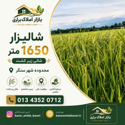 فروش شالیزار
